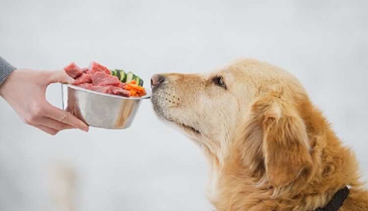 dog food