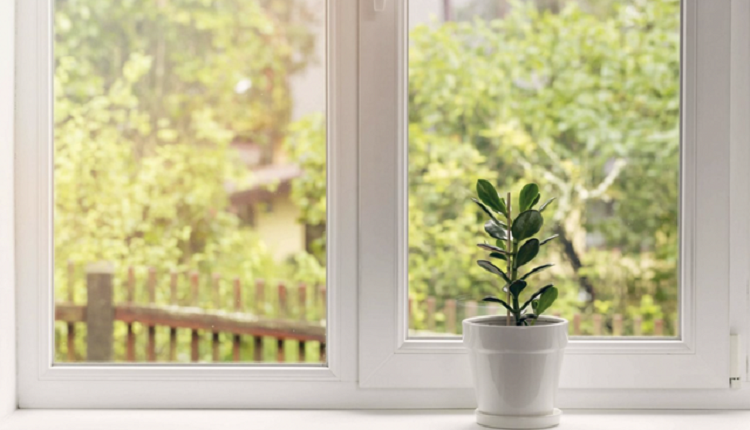 Replacement Windows